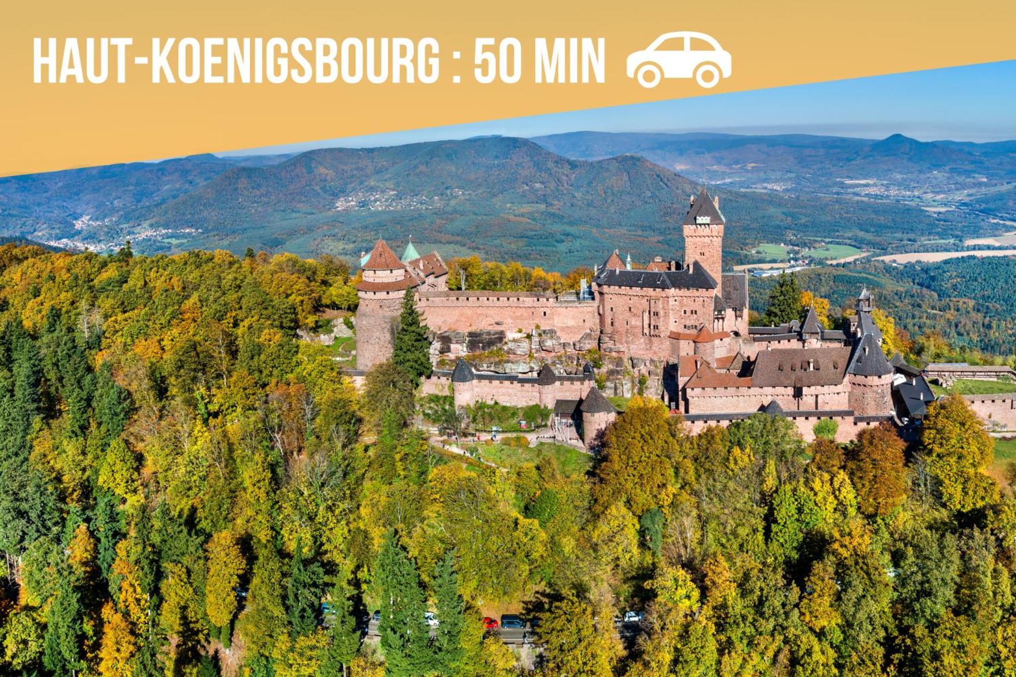 Lit Rond Tres Grand Et Confortable - Garage Possible Ou Parking Gratuit Rue - Gare 2 Min Et Ville 4 Min En Tram - Ciel Etoile - Netflix Videoprojecteur - Luxe Et Evasion Strasburg Zewnętrze zdjęcie