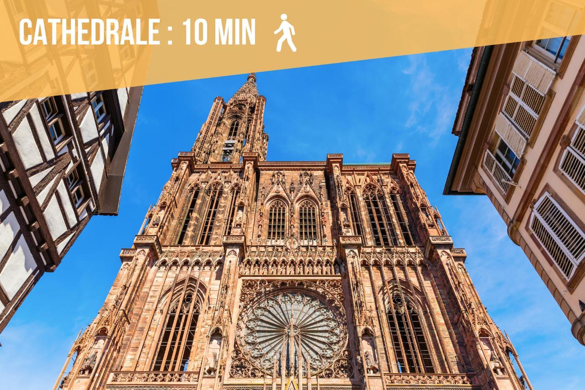 Lit Rond Tres Grand Et Confortable - Garage Possible Ou Parking Gratuit Rue - Gare 2 Min Et Ville 4 Min En Tram - Ciel Etoile - Netflix Videoprojecteur - Luxe Et Evasion Strasburg Zewnętrze zdjęcie